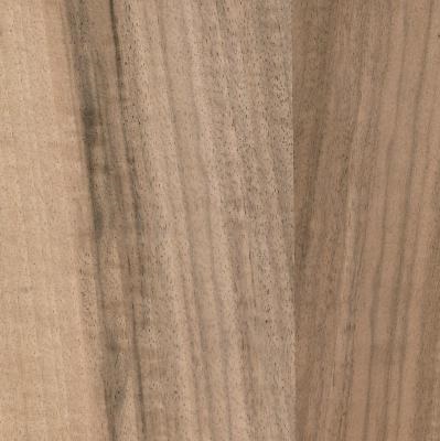 אגוז אירופאי