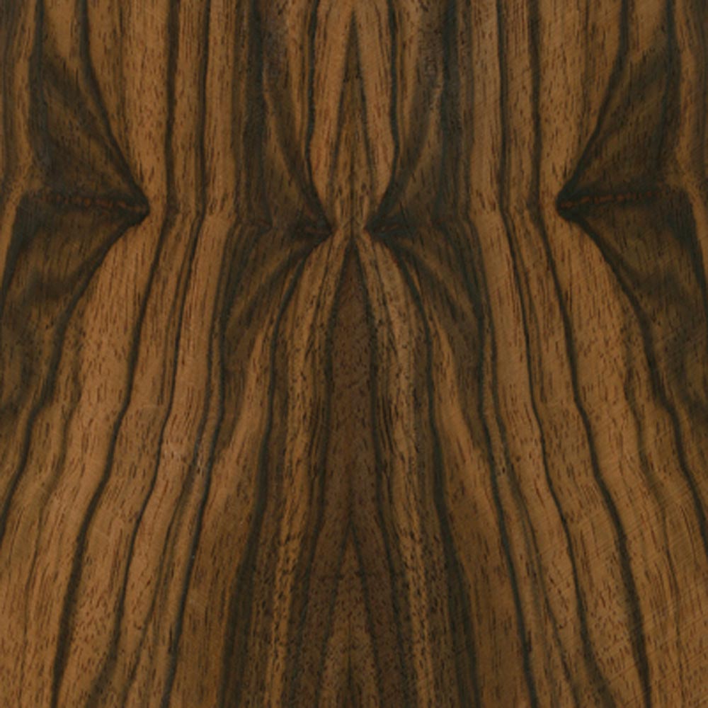 אבוני - MACASSAR