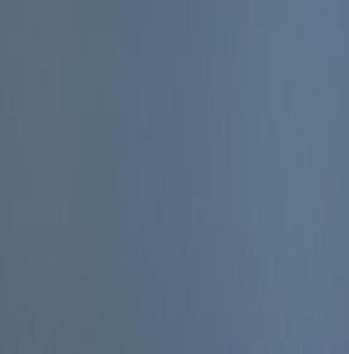 0771 Fenix NTM BLOOM